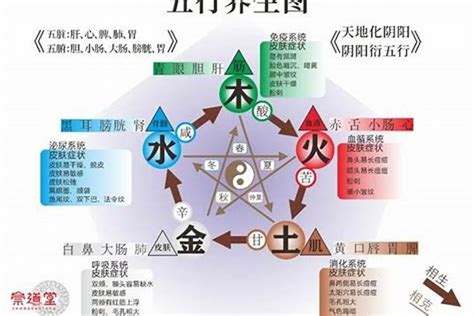 八字缺水|天干缺水怎么补：五行平衡与生活调整